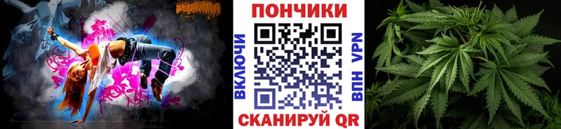 где продают наркотики Ахтырский Конопля ГИДРОПОН